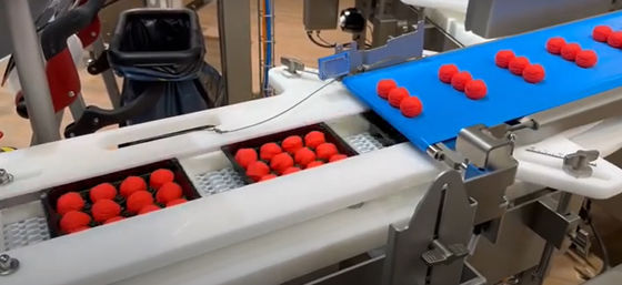 2 Layers Food Packaging Telescopic Conveyor For Biscuit Meatball Bread Roll In Tray