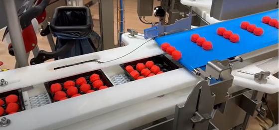 2 Layers Food Packaging Telescopic Conveyor For Biscuit Meatball Bread Roll In Tray
