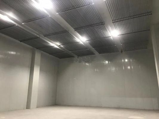 High Automation Cold Chain Warehouse With Monitoring Cool Chain Logistics Solutions