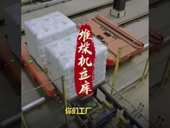 Sistema di recupero automatico di stoccaggio AS-RS per pallet da 1500 kg